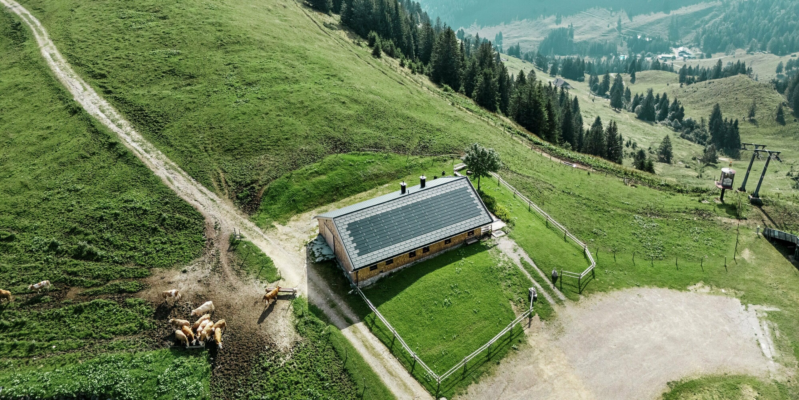 Vogelperspektive auf die Birkehütte in Bayrischzell (Deutschland) umgeben von einer atemberaubenden Alpenlandschaft. Die Hütte wurde mit langlebigen PREFA Dachplatten R.16 in P.10 Schwarz und innovativen PREFA Solardachplatten saniert. Das moderne Dach fügt sich harmonisch in die malerische Bergkulisse ein und sorgt gleichzeitig für nachhaltige Energiegewinnung. Im Vordergrund grasende Kühe unterstreichen den alpinen Charme der Umgebung.